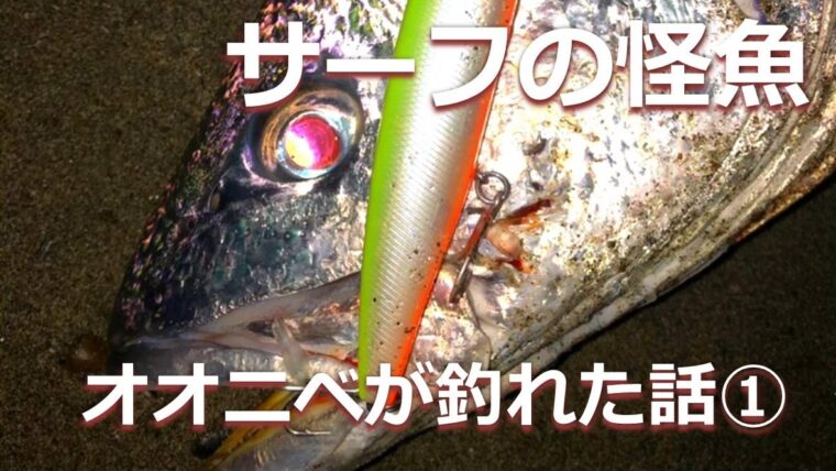 サーフの怪魚 オオニベ が釣れた話 In遠州 サーフゾンビ Fishing Surfzombie