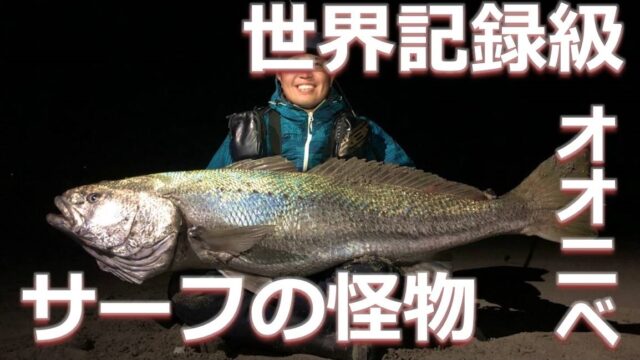 サーフの怪物 遠州サーフで世界記録級のオオニベが釣れた話 サーフゾンビ Fishing Surfzombie