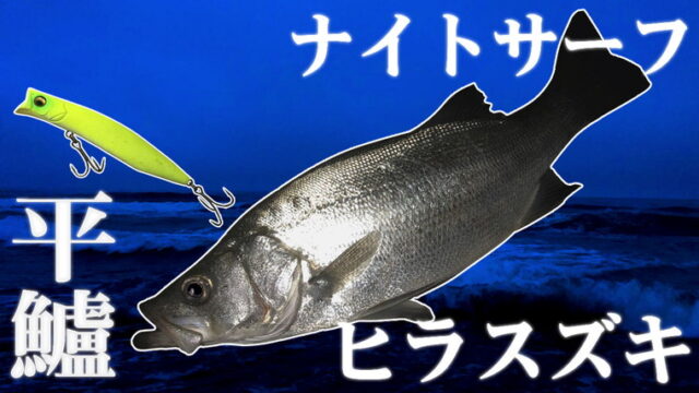 【ヒラスズキ】夏のナイトサーフで魚を釣る【サーフ釣り】【カゲロウ100F】
