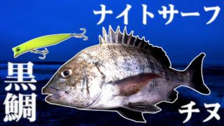 【クロダイ】夏のナイトサーフで魚を釣る２【サーフ釣り】【カゲロウ100F】