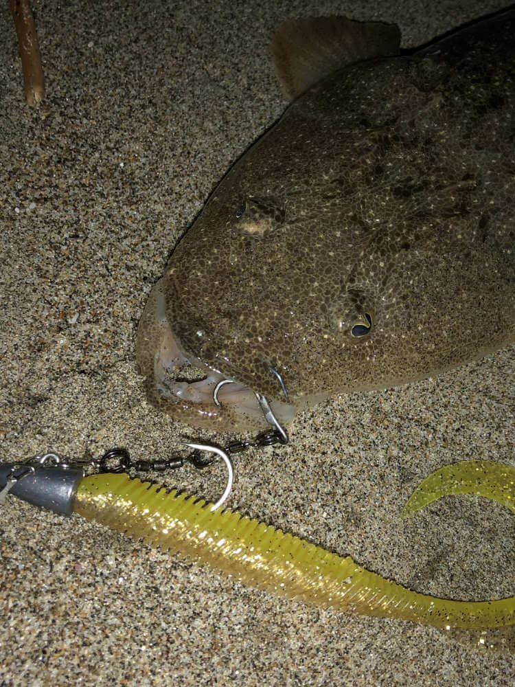 【晩夏のサーフ釣り】メガバス・ケムリカーリーでマゴチがヒット！【Zシステムに合うワームを求めて】