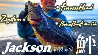 【サーフ釣り】ヒラメ来た！！Jackson新製品『フィネスヘッド＋ボーンベイト新色』【newジグヘッド＋Zシステム】【悪魔的カラー】