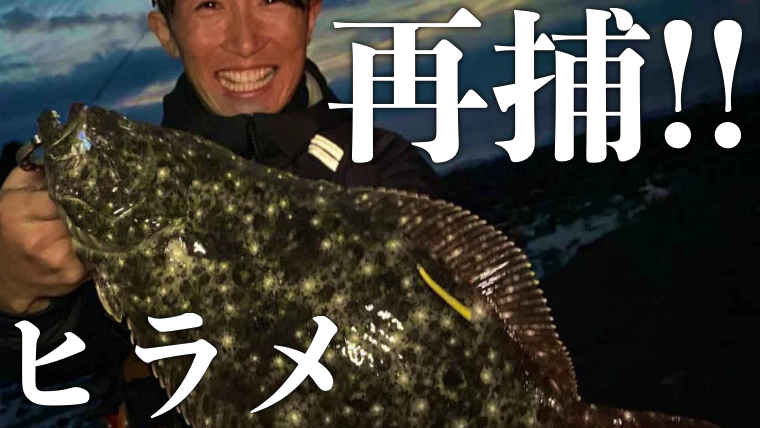 【ご報告】静岡サーフでタグ&リリースされたヒラメが再捕されました！！【リコルドヒラメ】【JGFA】